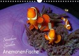 Anemonenfische - Streitbare Gesellen (Wandkalender 2018 DIN A4 quer)