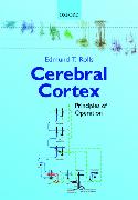 Cerebral Cortex