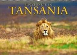 Blickpunkte Tansanias (Wandkalender 2018 DIN A2 quer)
