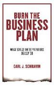 Burn the Business Plan: What Great Entrepreneurs Really Do