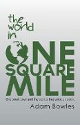 The World in One Square Mile