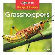 Grasshoppers