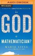 Is God a Mathematician?