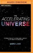 The Accelerating Universe