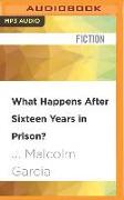 What Happens After Sixteen Years in Prison?