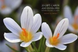 Fresh Flowers Notecards: 20 Gift Cards and Envelopes Suitable for Every Occasion [With Envelope]