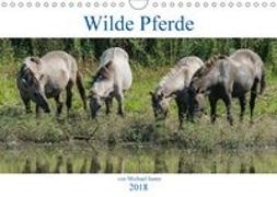 Wilde Pferde von Michael Jaster (Wandkalender 2018 DIN A4 quer)
