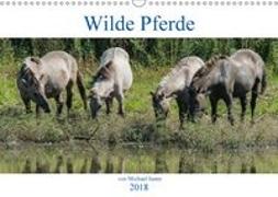 Wilde Pferde von Michael Jaster (Wandkalender 2018 DIN A3 quer)