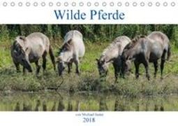 Wilde Pferde von Michael Jaster (Tischkalender 2018 DIN A5 quer)