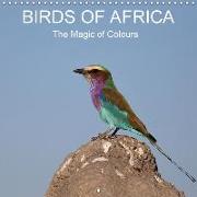 Birds of Africa (Wall Calendar 2018 300 × 300 mm Square)