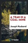 A Year in a Coal-Mine