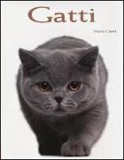 Gatti