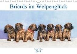Briards im Welpenglück (Wandkalender 2018 DIN A4 quer)