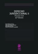 Derecho jurisdiccional II : proceso civil