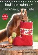 Eichhörnchen - kleine Tiere, große Liebe (Tischkalender 2018 DIN A5 hoch)