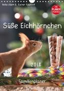 Süße Eichhörnchen (Wandkalender 2018 DIN A4 hoch)