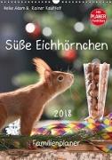 Süße Eichhörnchen (Wandkalender 2018 DIN A3 hoch)