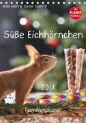 Süße Eichhörnchen (Tischkalender 2018 DIN A5 hoch)