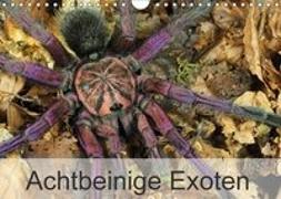 Achtbeinige Exoten (Wandkalender 2018 DIN A4 quer)