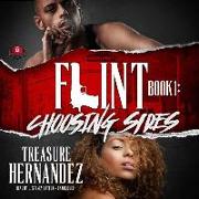 Flint, Book 1: Choosing Sides