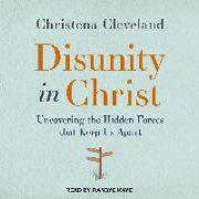 Disunity in Christ: Uncovering the Hidden Forces That Keep Us Apart