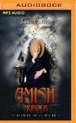 Amish Murder