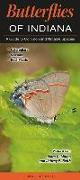 Butterflies of Indiana: A Guide to Common and Notable Species