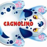 Cagnolino