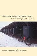 Horse-and-buggy Mennonites