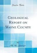 Geological Report on Wayne County (Classic Reprint)
