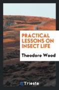 Practical Lessons on Insect Life