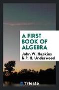 A First Book of Algebra