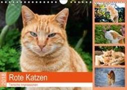 Rote Katzen 2018. Tierische Impressionen (Wandkalender 2018 DIN A4 quer)