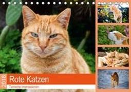 Rote Katzen 2018. Tierische Impressionen (Tischkalender 2018 DIN A5 quer)