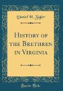 History of the Brethren in Virginia (Classic Reprint)