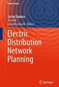 Electric Distribution Network Planning