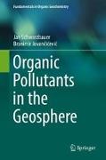 Organic Pollutants in the Geosphere