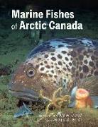 Marine Fishes of Arctic Canada