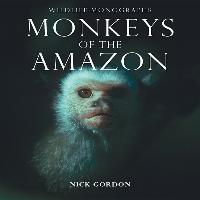 Monkeys of the Amazon