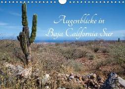 Augenblicke in Baja California Sur (Wandkalender 2018 DIN A4 quer)