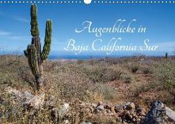 Augenblicke in Baja California Sur (Wandkalender 2018 DIN A3 quer)