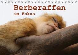 Berberaffen im Fokus (Tischkalender 2018 DIN A5 quer)