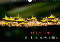 Ecuador durch meine Makrolinse (Wandkalender 2018 DIN A4 quer)