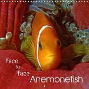 Anemonefish - face to face (Wall Calendar 2018 300 × 300 mm Square)