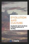 Evolution and culture