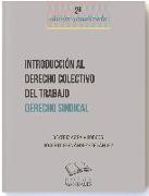 Introducción al derecho colectivo del trabajo : derecho sindical