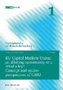 EU Capital Markets Union: an alluring opportunity or a blind alley?
