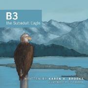 B3 the Subadult Eagle