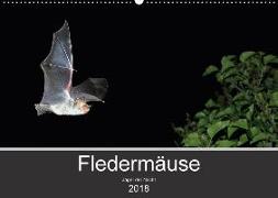 Fledermäuse - Jäger der Nacht (Wandkalender 2018 DIN A2 quer)