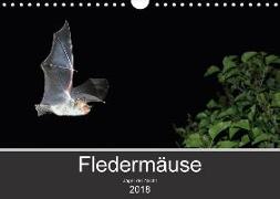 Fledermäuse - Jäger der Nacht (Wandkalender 2018 DIN A4 quer)